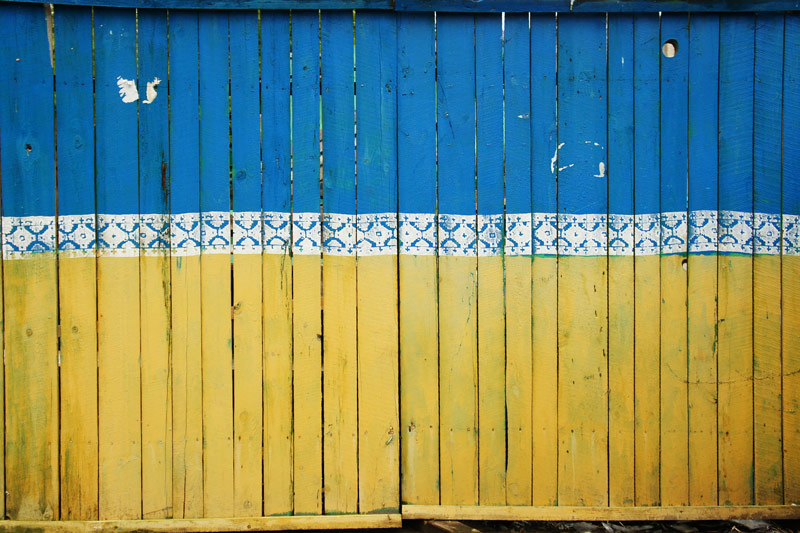 Ukrainian Flag